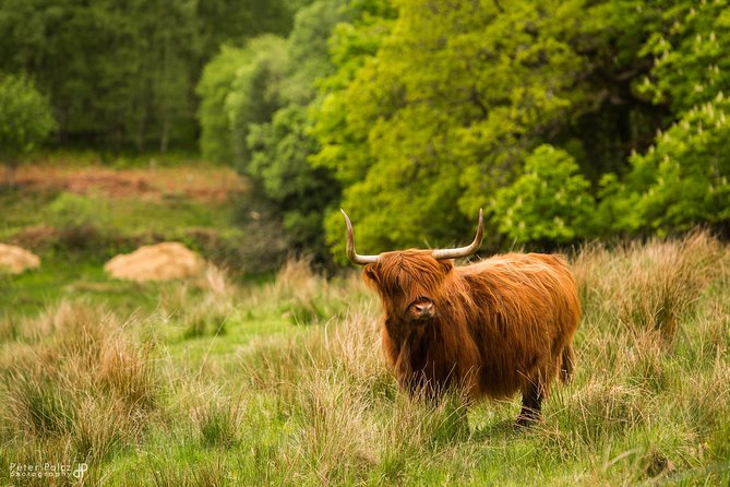 2-Day Highlands and Loch Ness Tour From Edinburgh - Meeting Point and Pickup