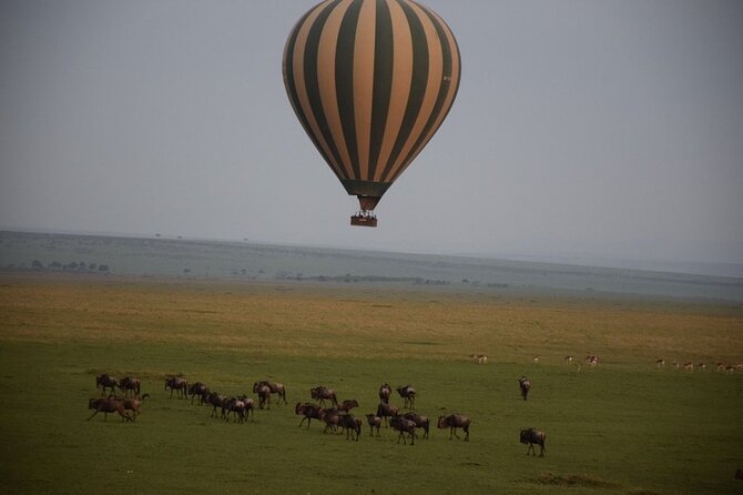 2-Day Private Tour in Masai Mara With Pick up - Tour Restrictions