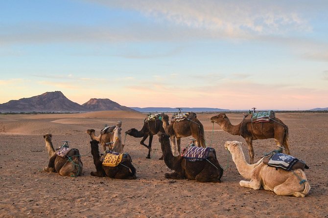 2-Days Zagora Desert Tour From Marrakech - Explore Kasbahs and Villages