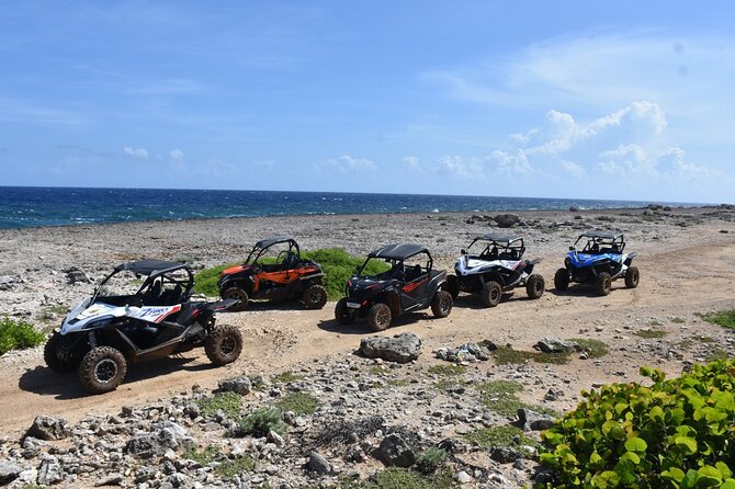 2-Hour Buggy Adventure Tour in Curacao - Accessibility and Fitness Level