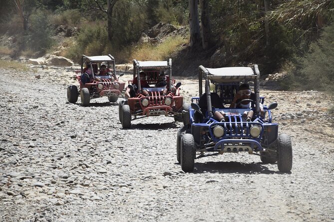 2 Hours Buggy Safari Experience in the Mountains of Mijas With Guide - Exploring the Rugged Mountain Tracks