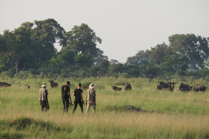 2 Nights Okavango Delta Mokoro Wildcamping Tour, All-Inclusive - Exploring the Okavango Delta