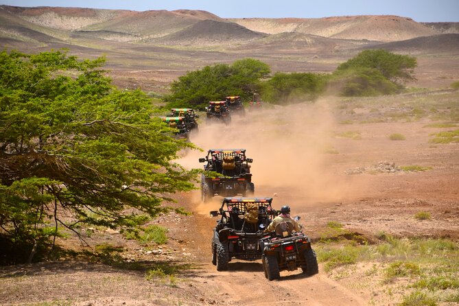 2h SSV Buggy Desert Adventure - 1000cc or 500cc - Pickup and Meeting Point