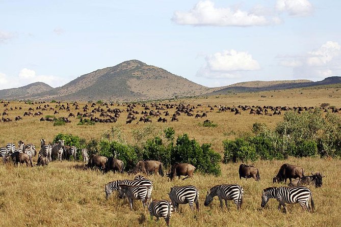 3 Days 2 Nights Budget Group Safari to Maasai Mara National Reserve - Itinerary for the 3 Days