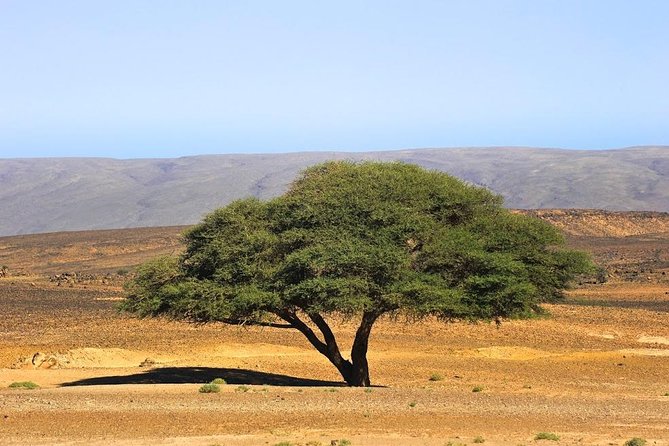 3 Days From Marrakech To Erg Chigaga - Overnight in the Desert