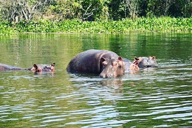 3 Days Gorilla Trekking Safari Tour in Uganda - Lake Bunyonyi Canoe Ride