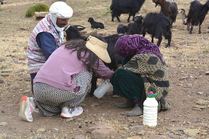 3 Days Homestay With Last Berber Nomads in the Atlas Mountains - Health and Safety Considerations