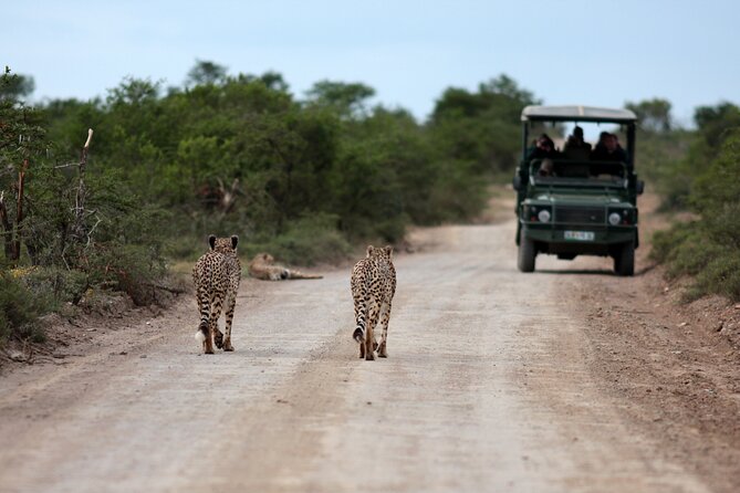 3 Days Tarangire, Manyara & Ngorongoro Budget Lodge Safari Tour Tanzania - Cancellation Policy