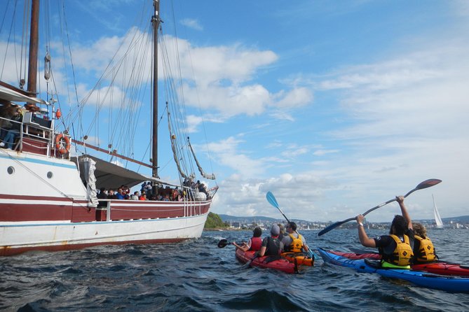 3- Hour Kayak Tour on the Oslofjord - Explore Oslos Natural Beauty