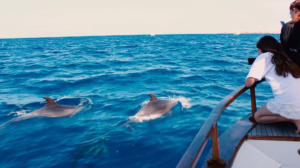 3H Private O Shared Tour to Accessible Boat En Canary Island - Accessibility Features