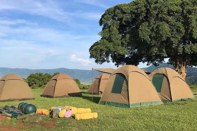 4 Days Join Group Tour Tarangire Serengeti and Ngorongoro Crater - Cultural Immersion and Learning