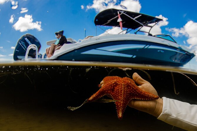 4 Hour Private Boat Charter to Stingray City, Snorkeling and More - Tour Participation and Group Size