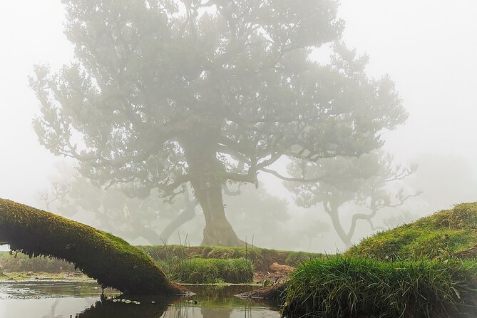 4x4 Jeep Tour to the West & Northwest of Madeira - Transportation and Pickup Details