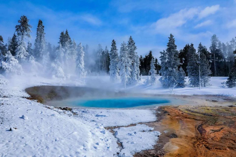 5-Day Winter Yellowstone Wildlife Tour - Exclusions From the Tour Package