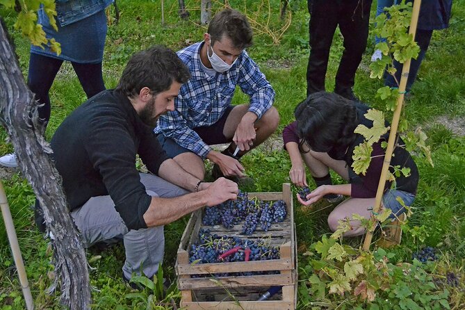 6 Wine Tasting in Valpolicella Classica: the Cradle of Amarone - Visiting the Aging Room