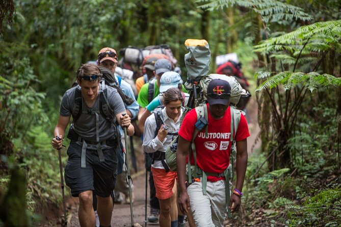 7-Day Machame Kilimanjaro Summit Tour From Arusha - Review Highlights