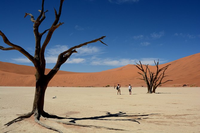 7 Day Southern Namibia and Sossusvlei Camping Safari - Kolmanskop Ghost Town