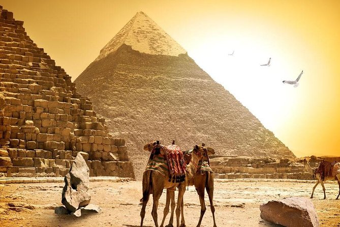 8-Day Private Tour Cairo, Aswan, Luxor and Nile Cruise Including Air Fare - Emergency Hotline and Taxes