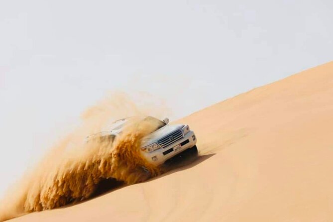 Abu Dhabi: Evening Desert Safari With Camel Ride, BBQ & Live Show - Cancellation Policy