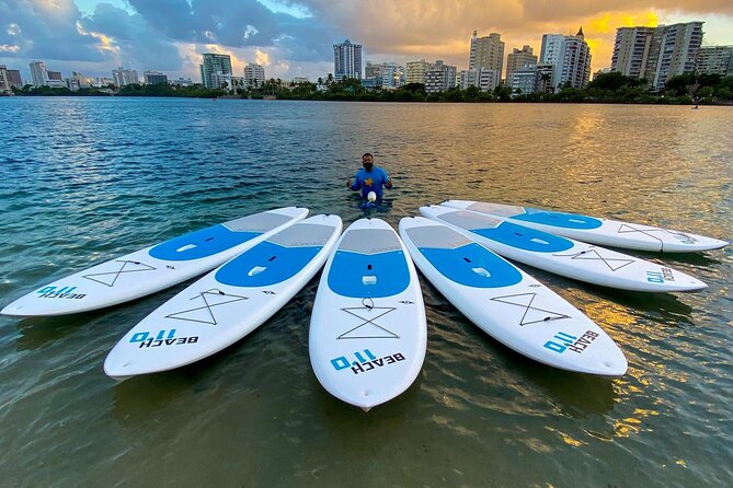 Afternoon Kayak and Paddleboard Tours in Condado Lagoon - Explore the Lagoons Ecosystem