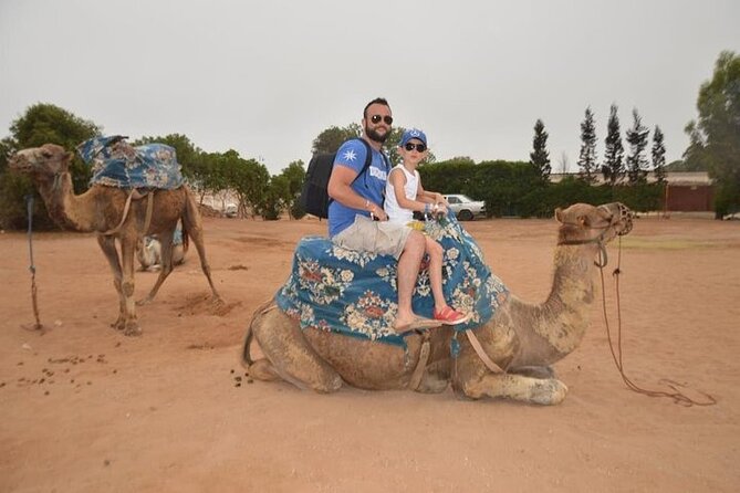 Agadir Camel Ride Experience - Safety and Precautions