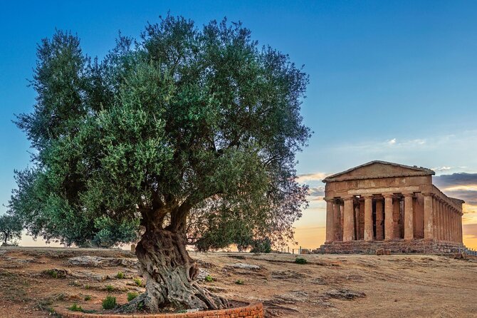 Agrigento; Valley of the Temples, Scala Dei Turchi From Palermo, Private Tour - Cancellation Policy