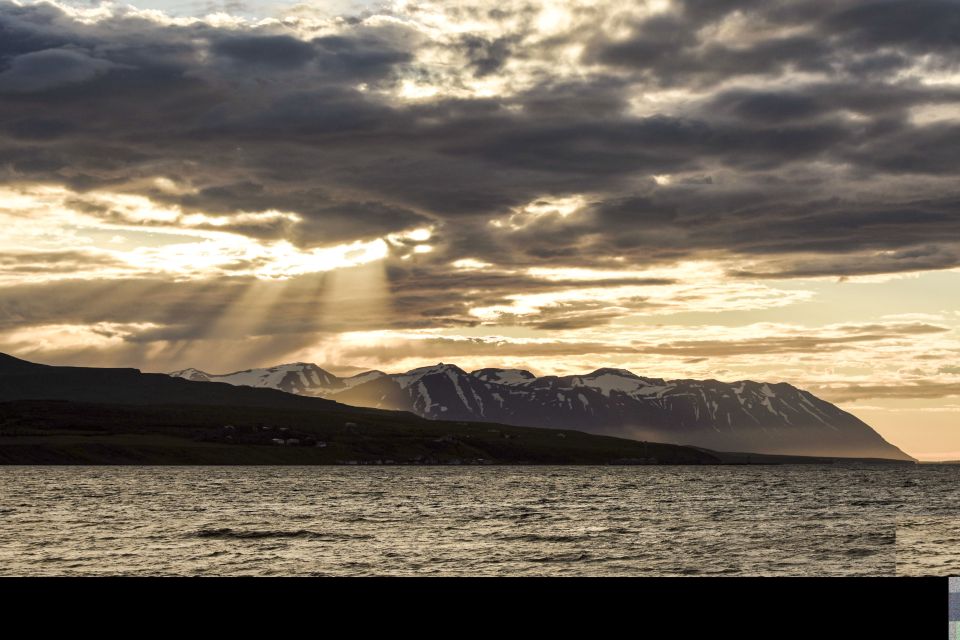 Akureyri: Whale Watching in the Midnight Sun - Meeting Point and Directions