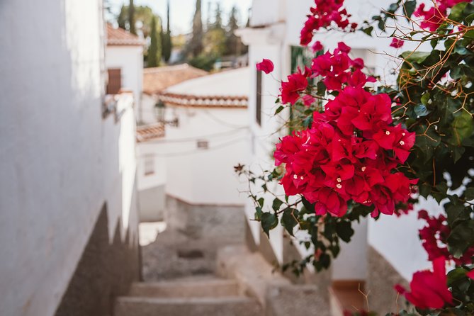 Albaiçín & Sacromonte Walking Tour - Moorish Architecture