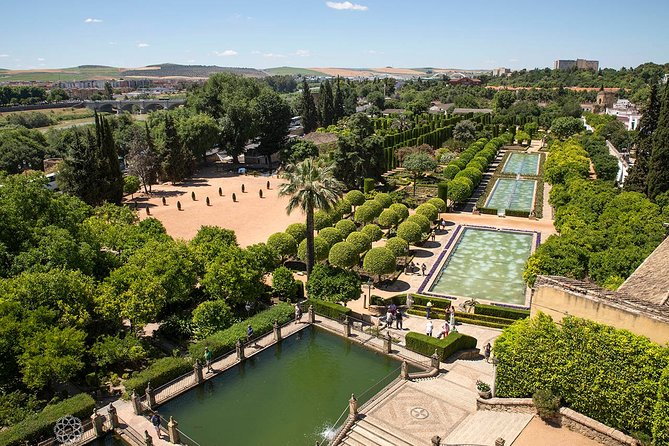 Alcazar Skip the Line Guided Tour - Accessibility and Discounts