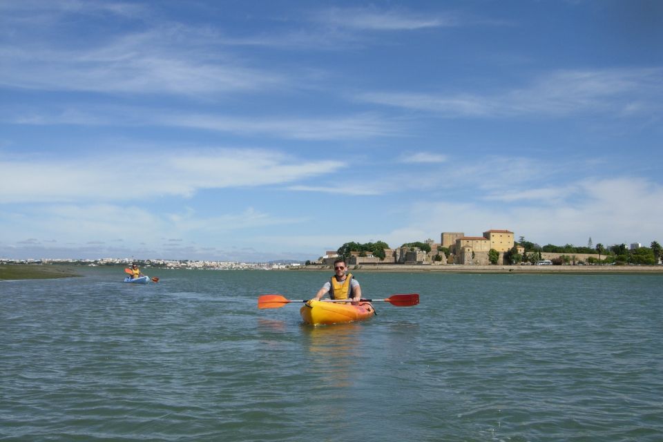 Algarve: 2-Hour Ria Formosa Kayak Tour From Faro - Wildlife and History