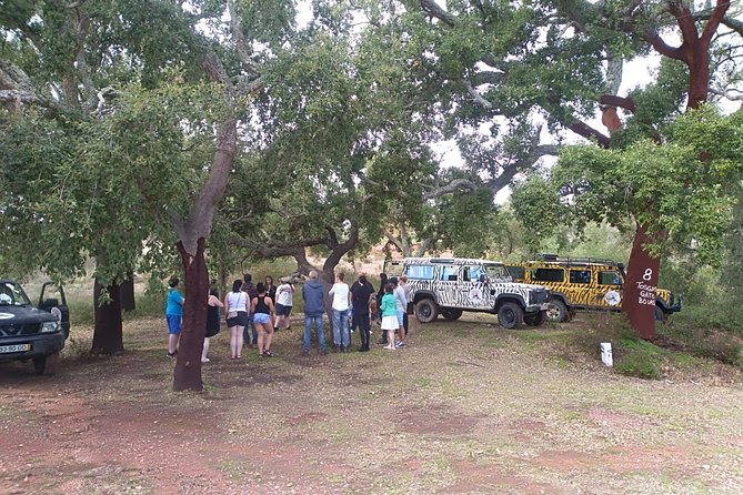 Algarve Half Day Jeep Safari Tour - Pickup and Drop-off