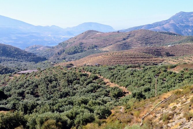 Alpujarras Small Group Tour From Granada - Immersive Small Group Experience