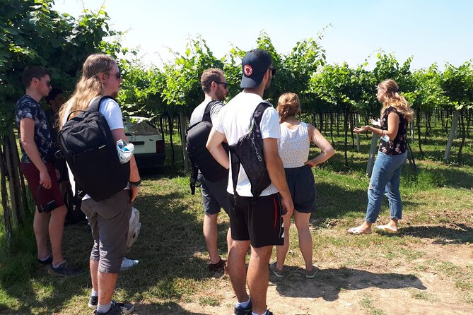 Amarone Wine Tour - Meeting Point and Location