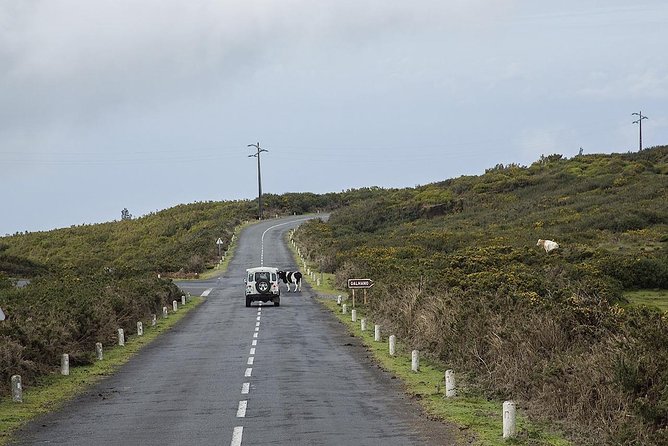 Amazing West - Jeep Safari Tour - Full Day - Exploring the Laurisilve Forests