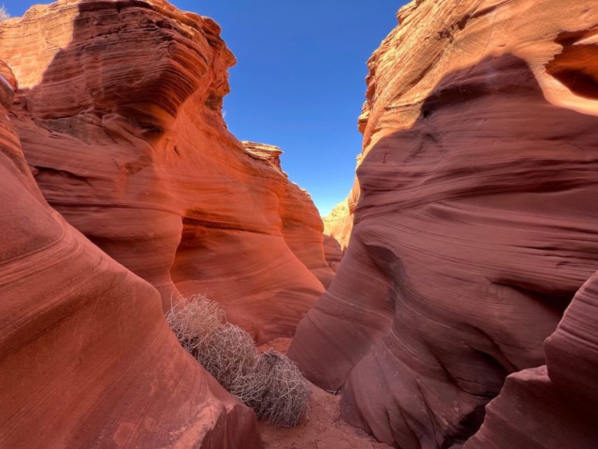 Antelope Canyon: Rattlesnake Canyon Tour - Snake-like Carved Patterns