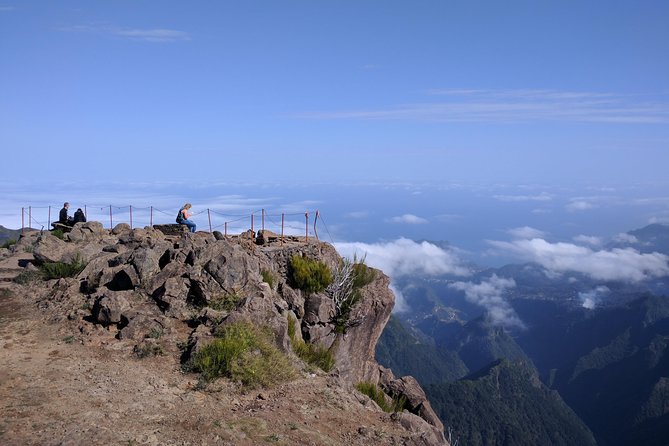 Arieiro Peak and Cristo Rei 4x4 Experience + Dolphins Watching - Dolphin and Whale Watching