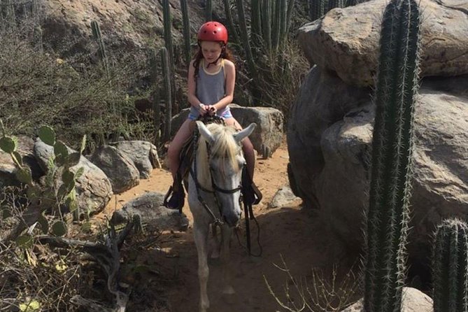 Aruba Private, 2 Hour Horseback Riding Tour For Advanced Riders - Directions to Rancho Notorious