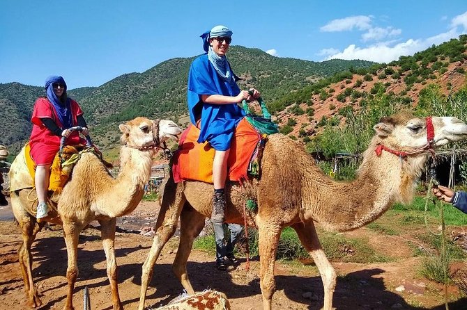 Atlas Mountains and Berber Villages Day Trip From Marrakech With Lunch - Highlights of the Day Trip