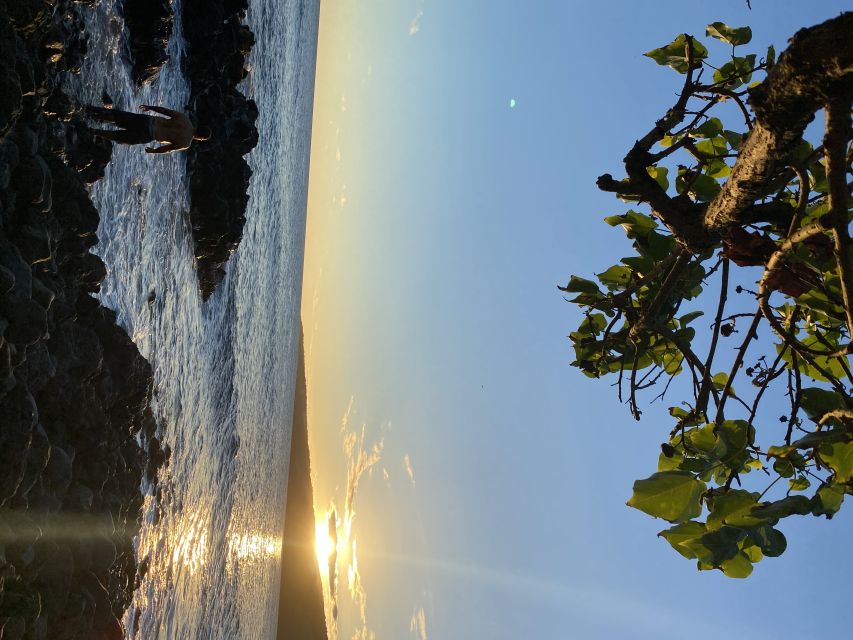 Authentic Road To Hana Tour (Private) - Scenic Manawainui Lookout