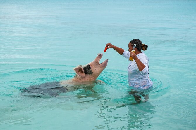 *Authentic Swimming Pigs Tour*Shark Encounter*Feed Iguanas* - Requirements and Restrictions