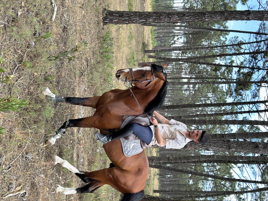 Aveiro: Horse Riding Experience With Instructor - Frequently Asked Questions