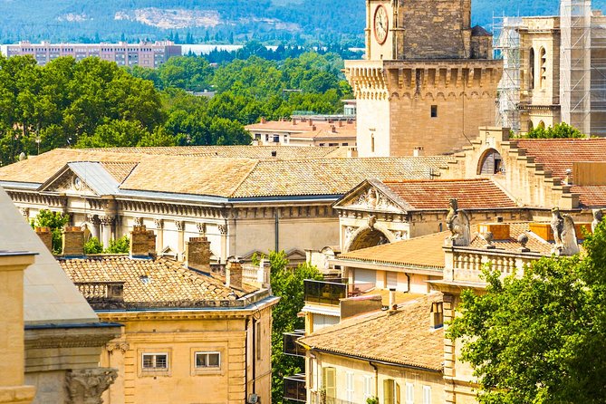 Avignon Walking Tour Including Popes Palace - Panoramic City Views