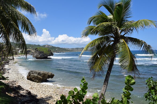 Barbados Shore Excursion Island Tour and Snorkel Cruise - Additional Important Information