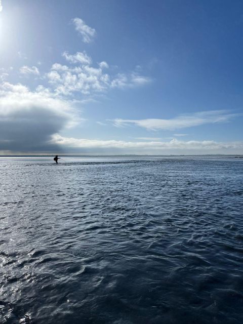 Bay of Mont Saint-Michel: At High Tide Guided Hike - Admiring the Landscapes