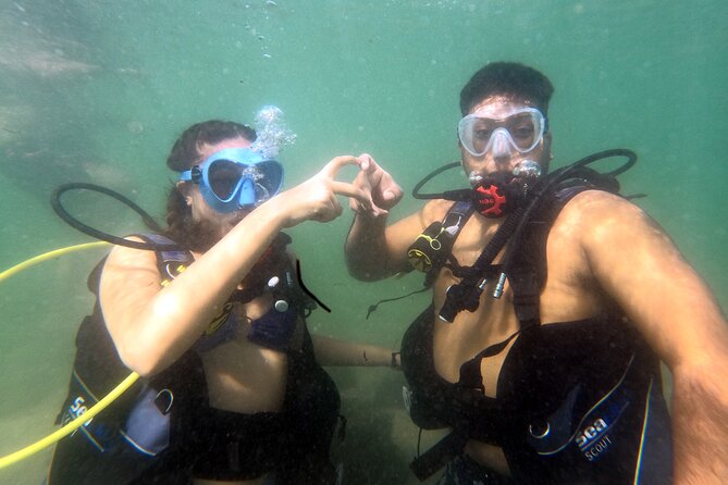 Beginner SCUBA Diving in Old San Juan - Accessibility and Service Animals