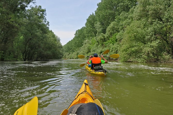 Belgrade War Island Kayak Tour - Admiring Belgrades Skyline