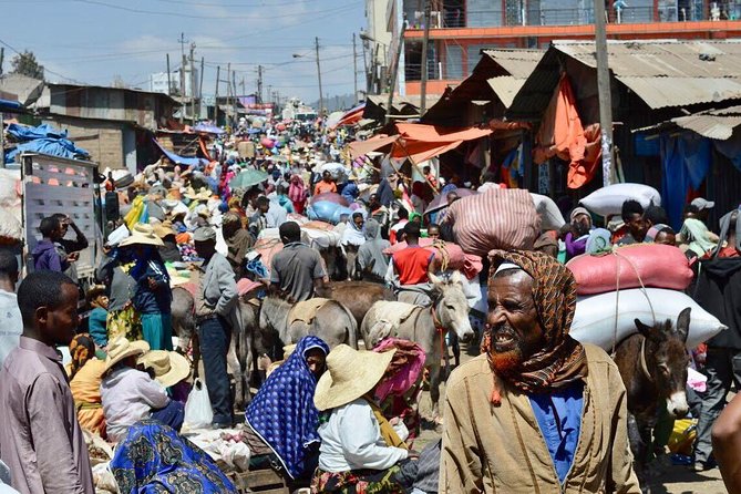 Best of Addis Ababa- (Full Day) - Fossil Site Visit