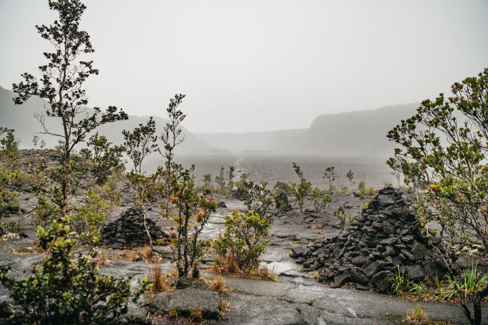 Big Island: Hawaii Volcanoes National Park Guided Hike - Meeting Point