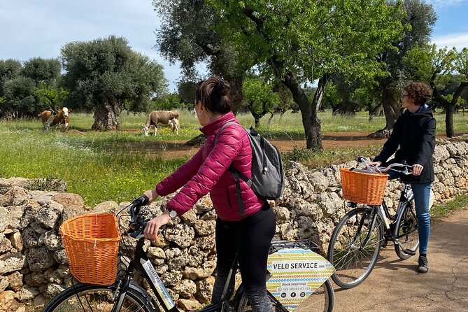 Bike Rental in Bari - Accessibility and Accommodations