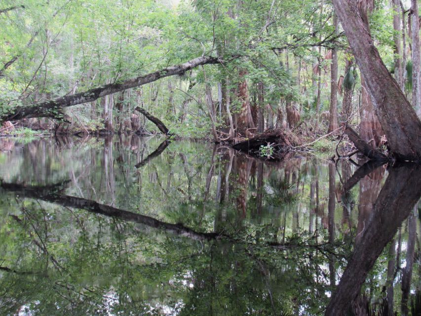 Blackwater Creek: Exclusive Nature Escape Kayak Adventure - What to Bring and Important Information